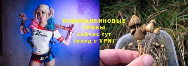 индика Балабаново