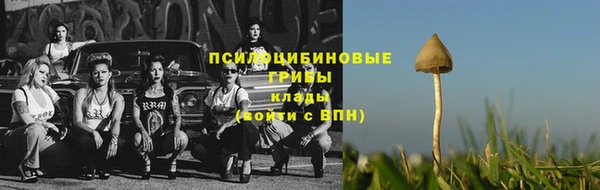 индика Балабаново